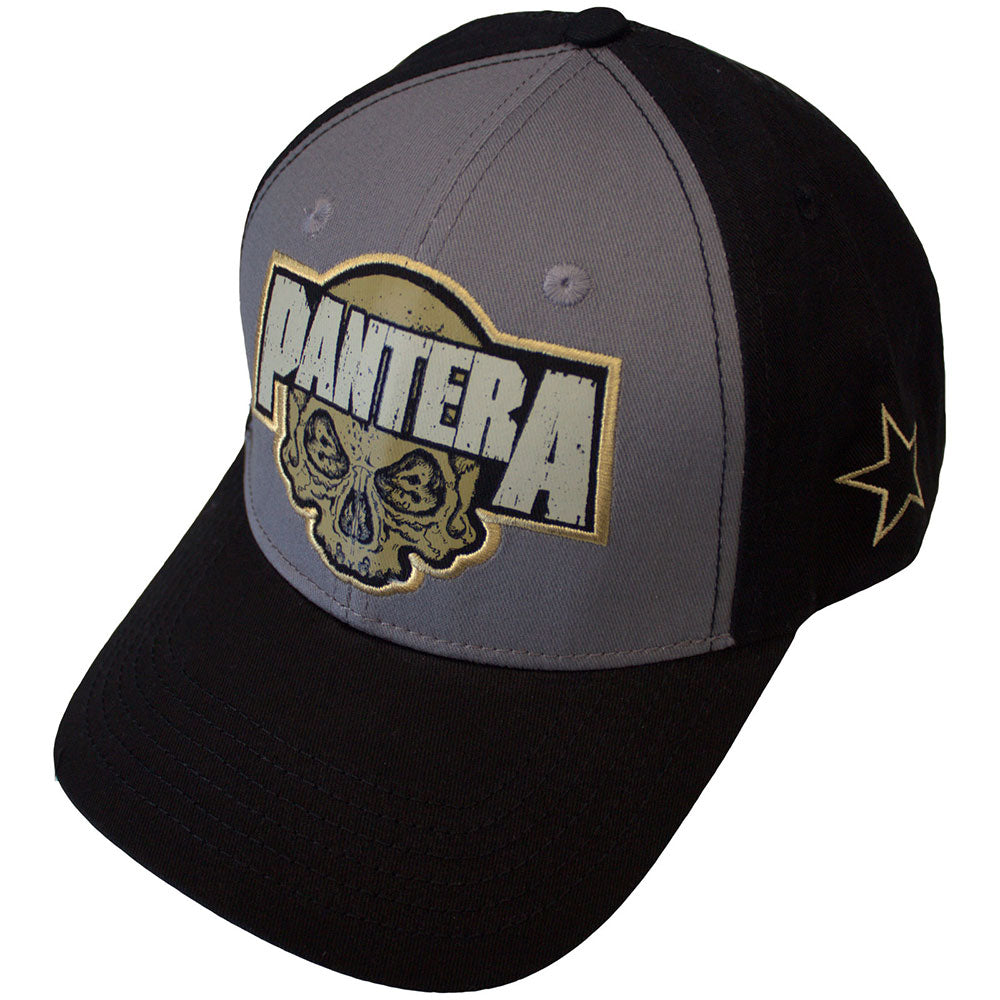 Pantera Skull []